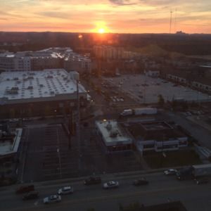 Meet your Posher, Camelia